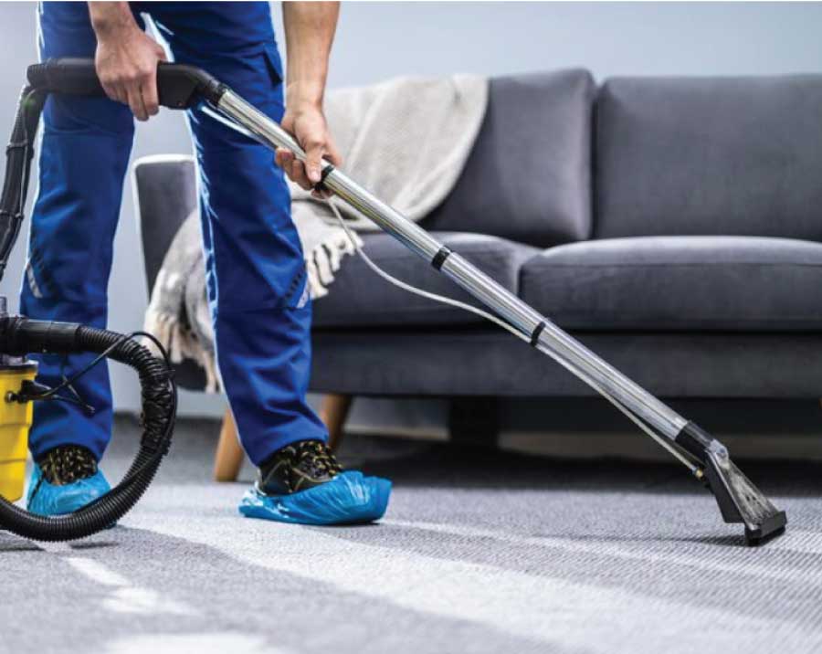 Upholstery & Carpet Cleaning