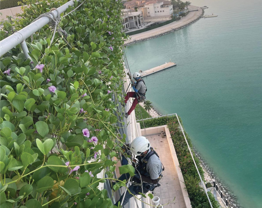 High-Rise & Façade Maintenance, Window Cleaning